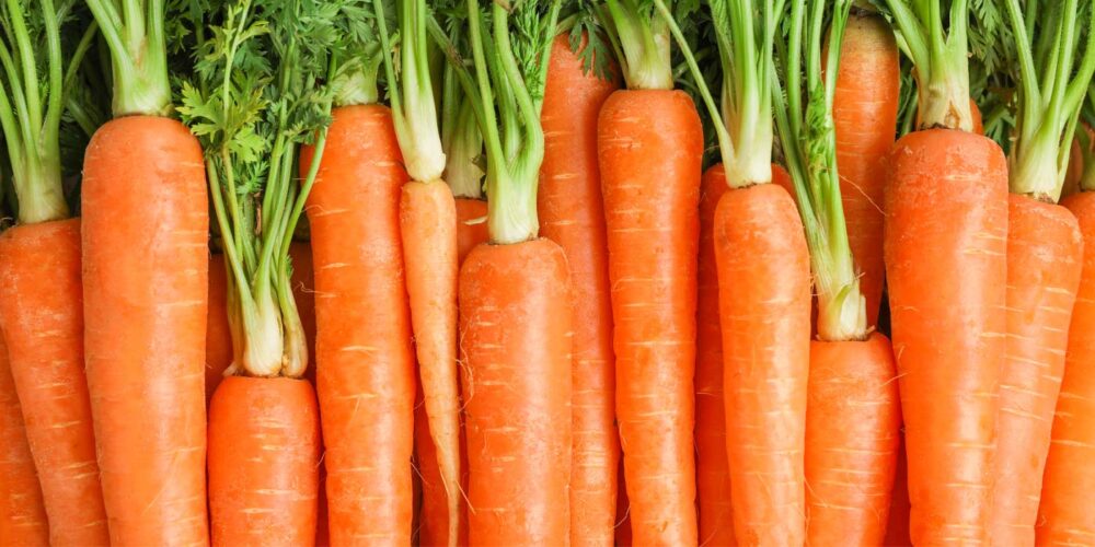 carrots stock